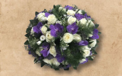 Biedermeiers paars (3)