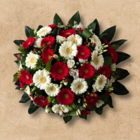 Biedermeiers rood