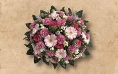 Biedermeiers roze heinenoord