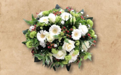 Biedermeiers wit