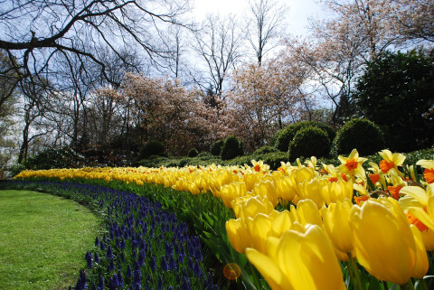 Bloemen bezorgen in Hoeksche Waard