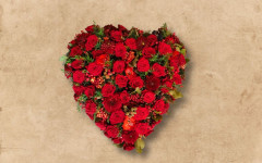 Rood hart rouw hoeksche waard