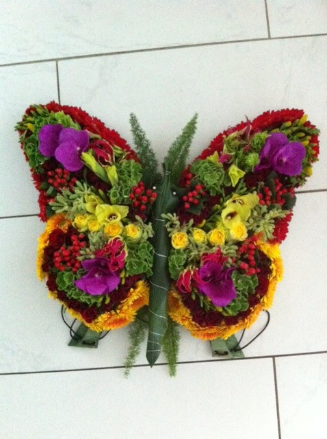 vlinder-rouwstuk-veelkleurig-rood-paars-geel