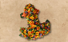 Speciaalrouw1
