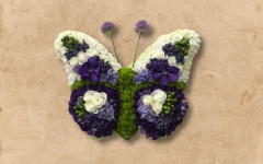 Speciaalrouw2